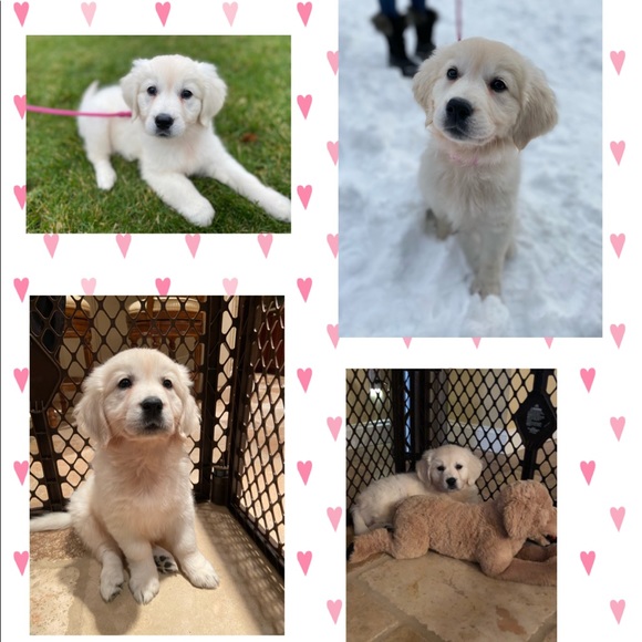 Meet your Posher, Posh Ambassador Shari - Picture 5 of 5